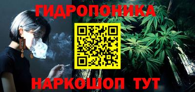 дживик Сланцы