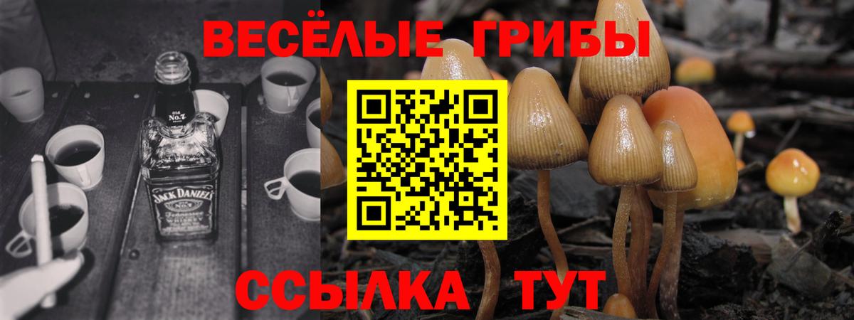 Галлюциногенные грибы мухоморы Саров